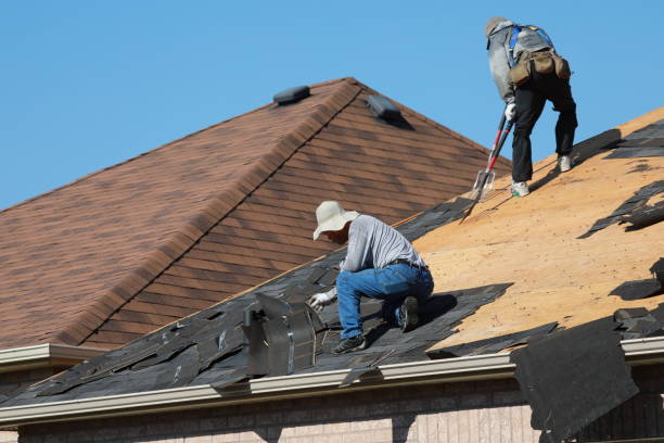 Best Roof Insulation Installation  in Fortuna, CA
