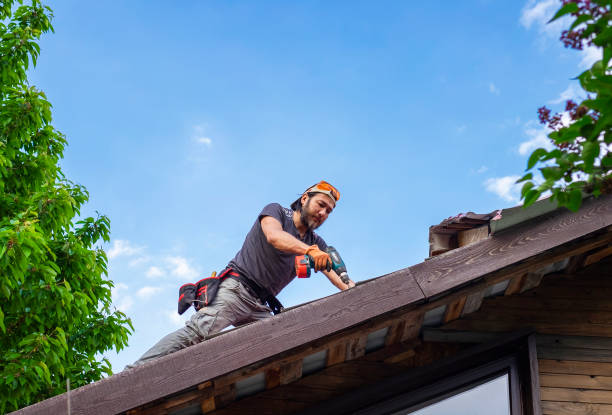 Best Roof Moss and Algae Removal  in Fortuna, CA